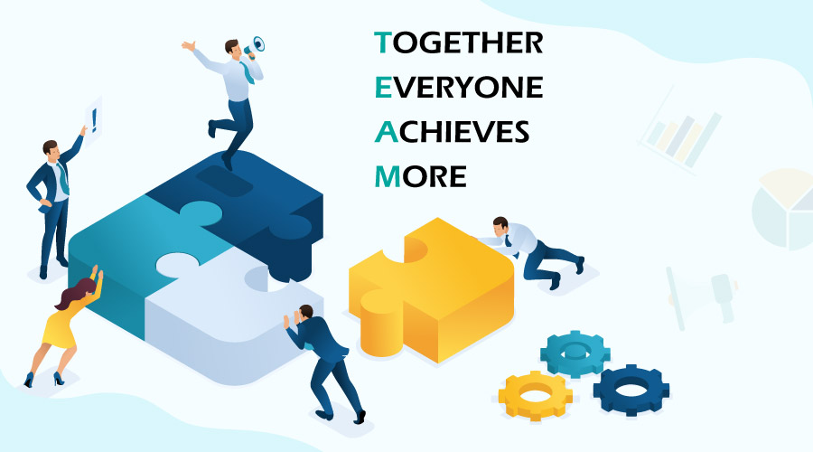 What are the reasons that make teamwork successful